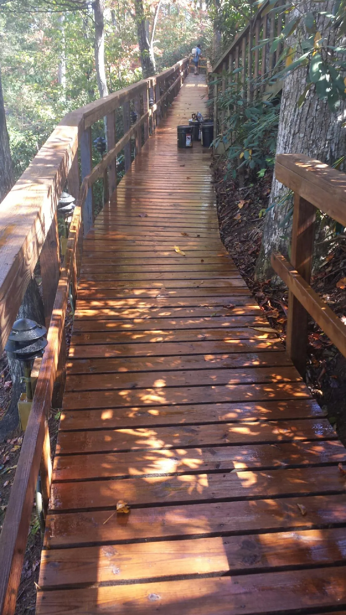 Freshly stained wood walkway winding through the woods in Cedar Vale